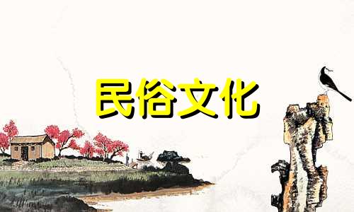 风水学上北阳台可以摆放什么植物来改善财运呢?