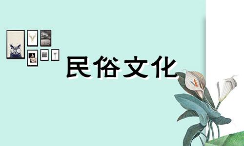 厨房与阳台相连可化解风水,放置盆栽可辟邪