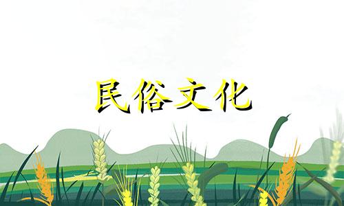 客厅外面的阳台风水不错。摆放绿色植物可以增加事业和财富。