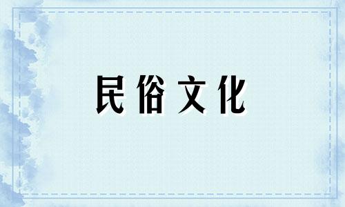 阳台摆放月季花需要注意哪些事项?