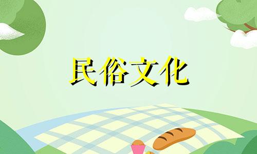 阳台摆放兰花风水有哪些禁忌？