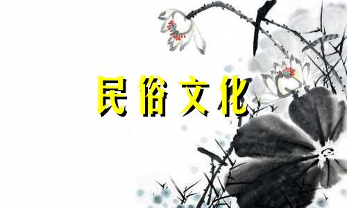 如何解读己巳年出生的人的运势