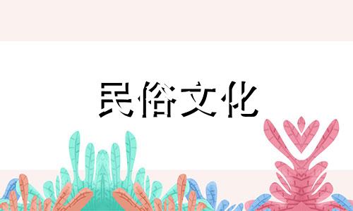 吉酉太阳柱女性运势很健康