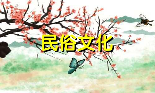 一个打六架的女人的生活是不是很悲惨？一个打六仗的女人，过着怎样的生活？