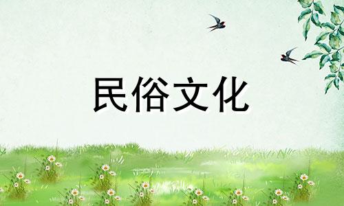 外表出众的八字命理，非常有才华，聪明。