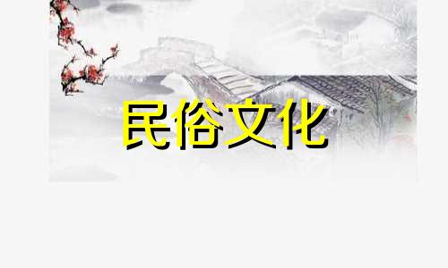 辛亥太阳柱的命运是什么？财运非常好