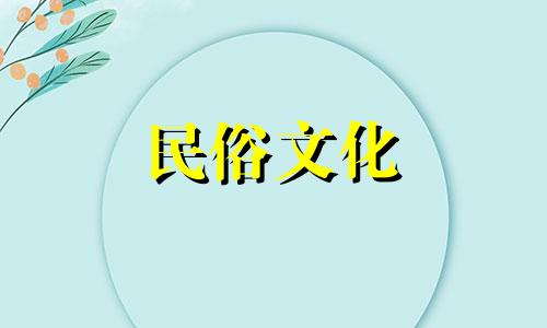 阳台适合挡煞藤的风水植物有哪些？