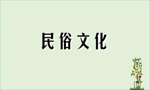 根据生日和星座的神秘鱼缸布局，财富风水必读
