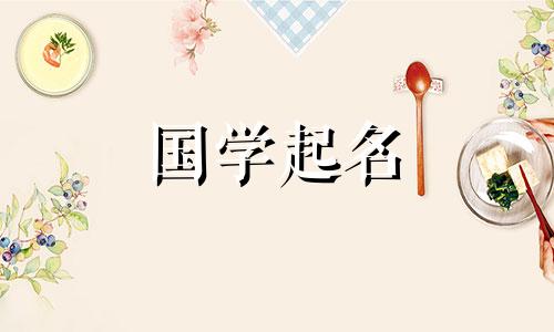 免费公司名称百科全书。慷慨而时尚的公司名称。