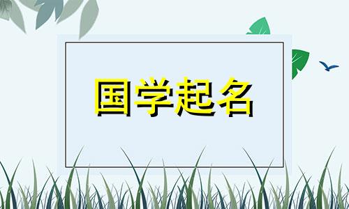 最吉祥的公司名称排行榜,小众但令人惊叹的公司名称