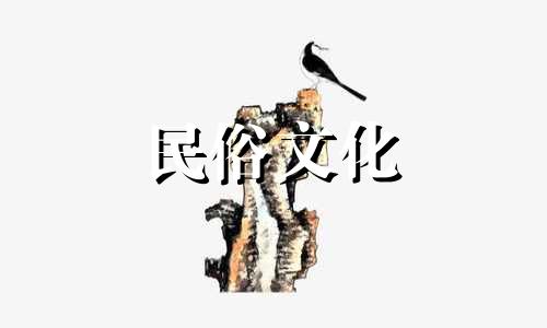 双胞胎的命运是一样的吗？双胞胎有不同的命运吗？