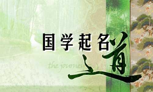 2024年龙年出生的女孩最受欢迎的名字 2024年女孩最好听的名字