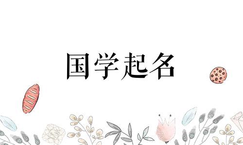 2023年9月29日出生的男孩好不好?蔡青志高男孩名字