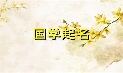 2023年9月11日出生的男孩是什么星座?