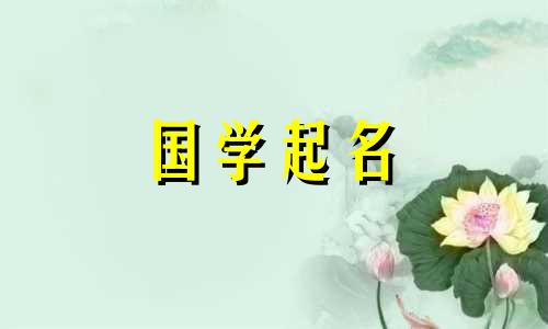 兔年的男孩应该起一个有美好寓意的名字。简单又大气的兔年男孩名字。