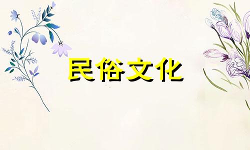 难道定海的日珠姑娘很可能是福气暴躁的？