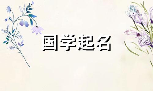 一个好的贸易公司名字可以吸引金钱和财富。