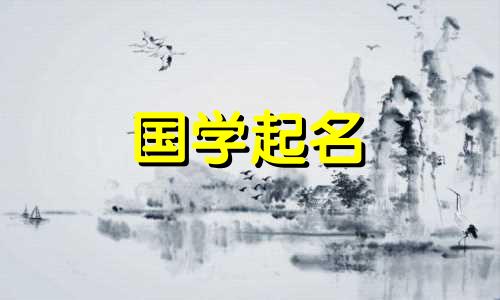 2023年8月25日出生的女婴将取一个书卷气的女孩名字