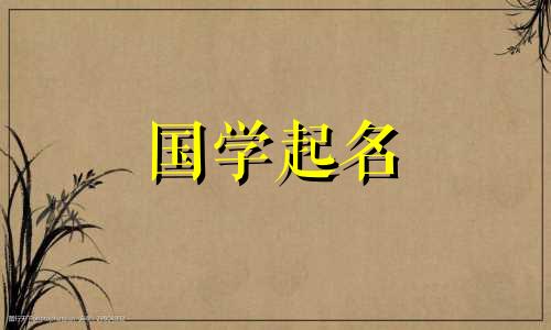 2023年8月24日出生的男孩是韩露，精力充沛、坚强自立吗？