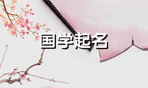 抖音女装店名字大全,潮流时尚的女装店名字