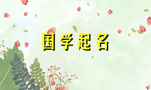 2023年兔年最受欢迎的男孩名字。生肖属兔的好男孩名字。