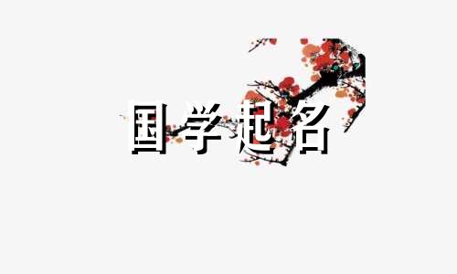 超市店铺名称综合超市名称列表