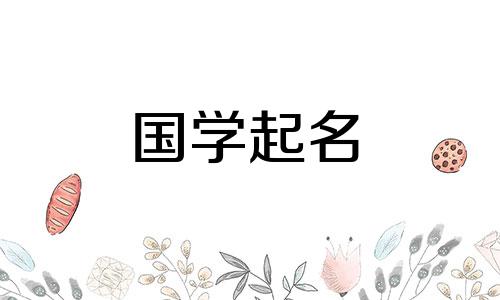 一个独特而流畅的男孩名字，名叫“朱”。一个名叫朱的男孩的个性化名字。