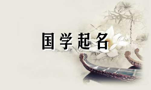 抖音店铺名称免费查询 200个