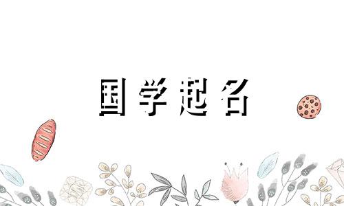 男孩的名字代表平安健康，寓意幸福健康的生活。