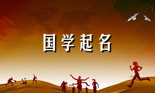 2023抖音店铺名称 抖音店铺名称