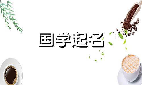 以虾为主题的烧烤龙虾店名称大全