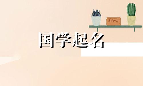 空壳公司名称列表，最新火爆的空壳公司名称