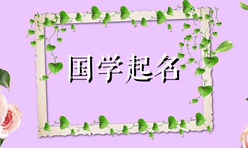  2023年7月13日出生的女婴名字大全解析