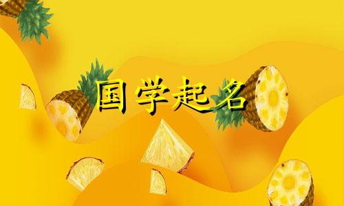 2023年七月初四出生的属兔人叫什么名字？她的前途将会一片光明，一帆风顺。