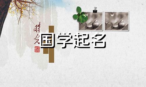 五要素命名：自由命名评分。今年出生的男孩起什么名字好呢？