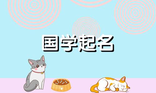 兔年出生的人最适合的公司名字是什么?免费查询公司名称