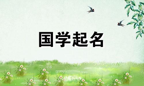 免费新生儿名字。龙年出生的人最流行的名字。