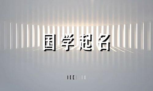 属于狗年的公司名称有美好的寓意。属于狗年的公司名称完整列表