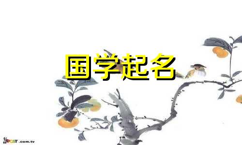 免费新生儿名字的完整列表。 2023年出生的宝宝的名字。