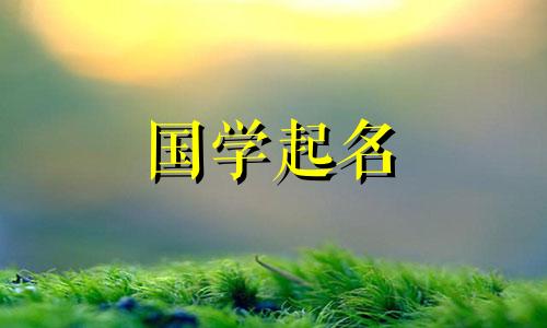 五行缺金的兔宝宝的名字。缺金的王姓男孩名字大全