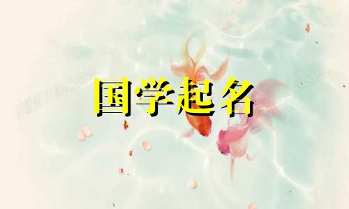 转到名称中带有“兔子”字样的公司。转到带有“兔”字的公司名称
