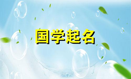 养狗的人开公司应该起什么名字?属狗的人应该选择公司名称中最受欢迎的角色。