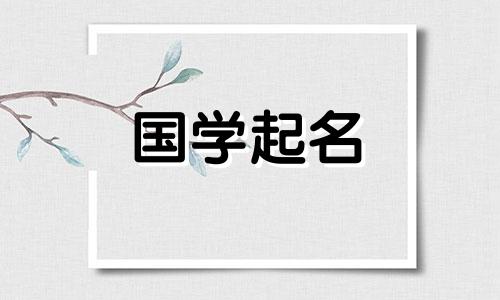 2023年生日星座免费名字 2023年男宝宝名字 100分