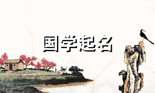  2023年4月29日出生的女孩的五要素是什么？高贵典雅的名字有哪些？