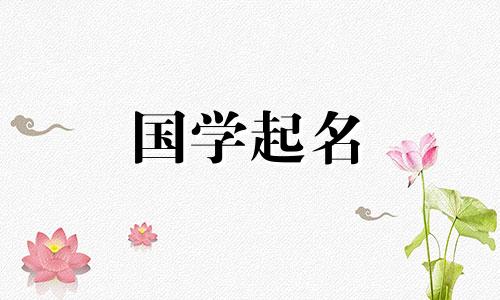 教育机构有意义的名称。培训和教育机构的好名字。