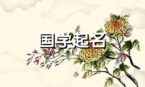  2023年4月21日出生的男兔宝宝推荐名字，五行属性好听