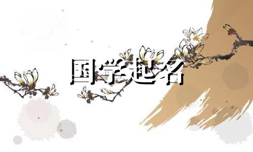 一个带来财富和吉祥的鞋店名字。一个受欢迎且吉祥的店名。