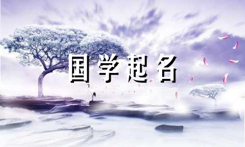 适合聪明、有才华的女孩的名字。适合聪明有教养的女婴的名字。