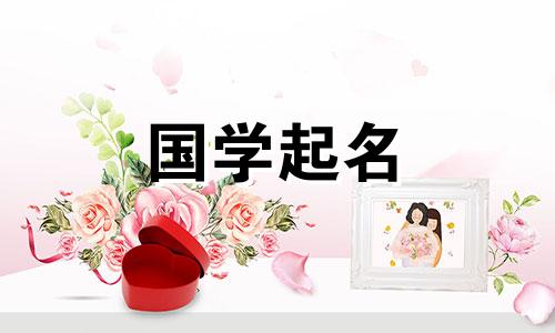 2023年3月8日出生的属兔人命运如何？文思的快速命名建议