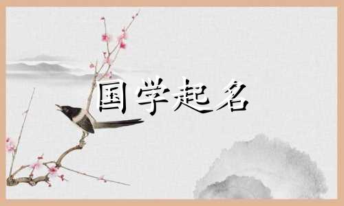  2023年3月13日出生的属兔女孩的名字会带有智慧、平和的五行属性。